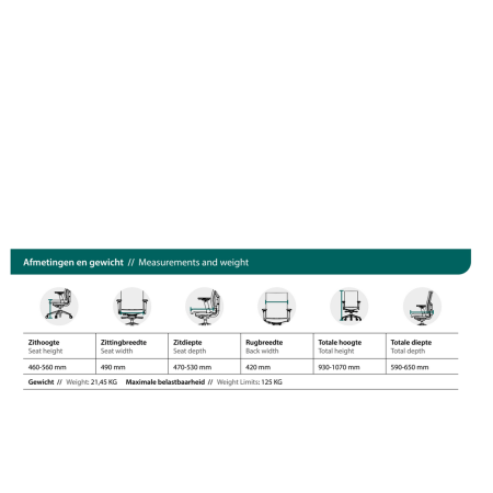 Therapod® X Compact - Fenice 601 lichtgrijs (wolvilt)