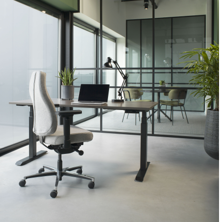Therapod® X Standaard – in Fenice 601 lichtgrijs (wolvilt)